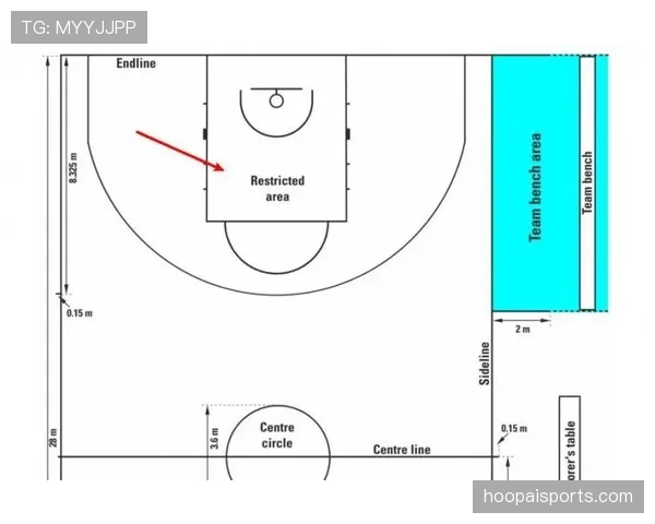 NBA与FIBA罚球规则有何不同？对比解析两大联赛判罚标准